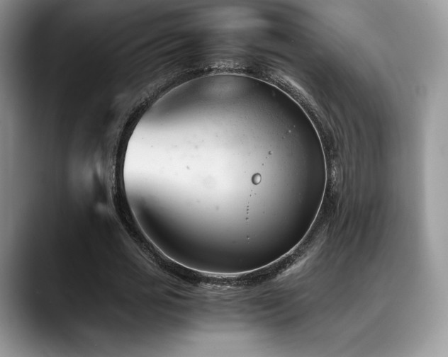 X0000088910725200706081341