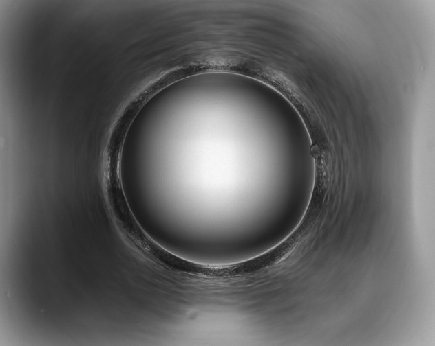 X0000088910726200706081341