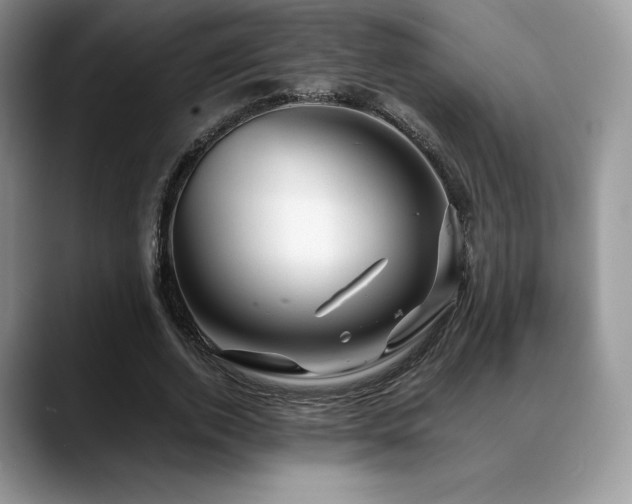 X0000088910728200706081341