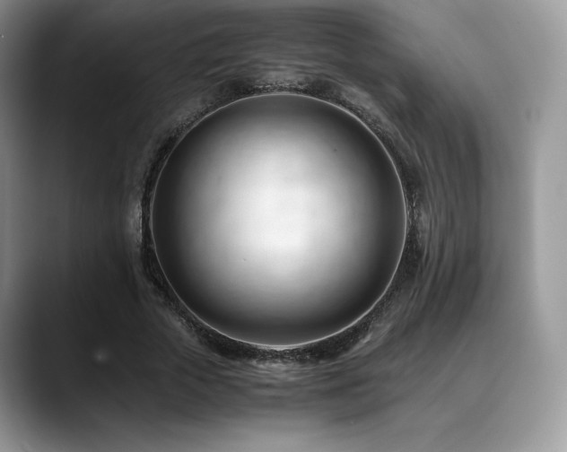 X0000088910729200706081341