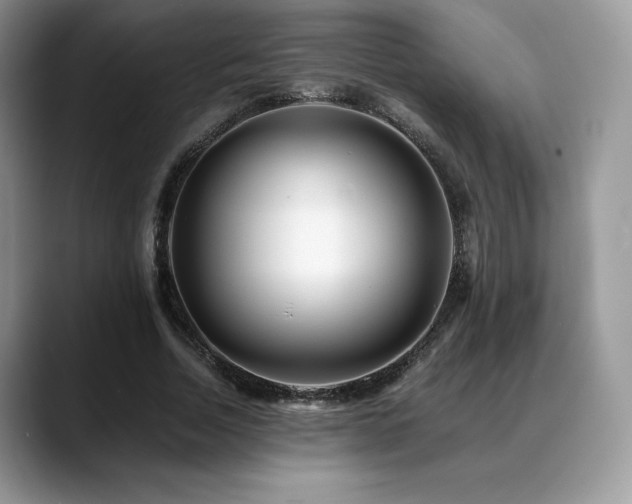 X0000088910730200706081341