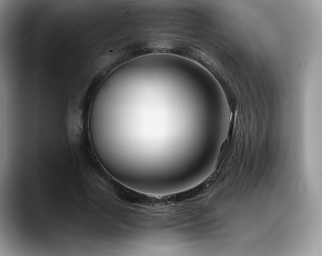 X0000088910731200706081341