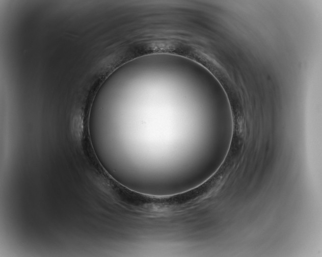 X0000088910733200706081341