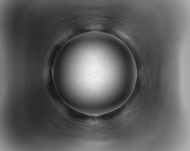 X0000088910735200706081341