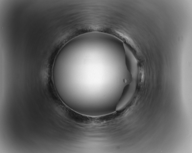 X0000088910736200706081341