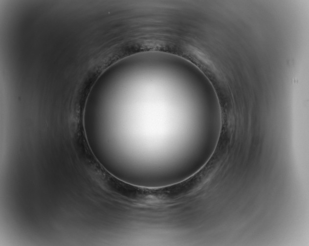 X0000088910737200706081341