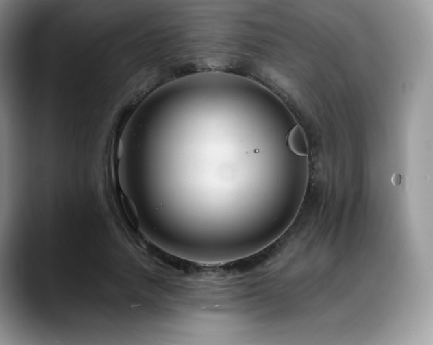 X0000088910738200706081341