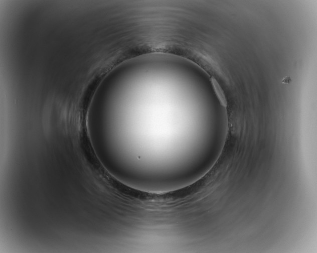 X0000088910740200706081341