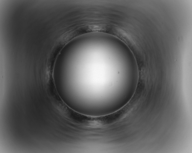 X0000088910741200706081341