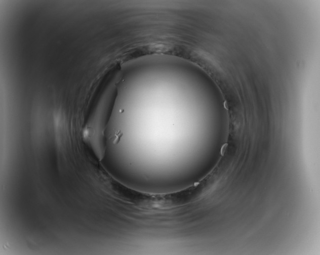 X0000088910745200706081341