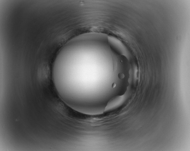 X0000088910748200706081341