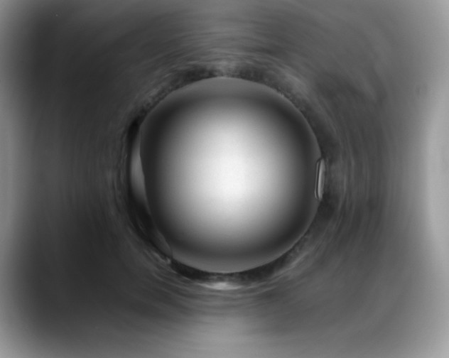 X0000088910750200706081341