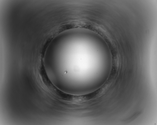 X0000088910757200706081341