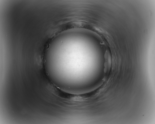 X0000088910759200706081341