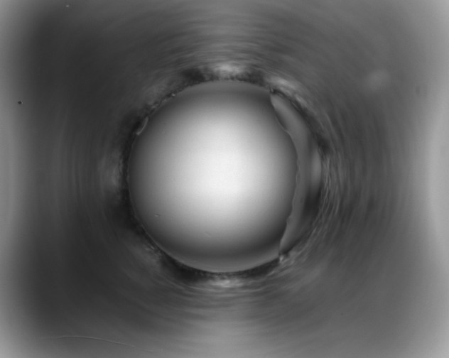 X0000088910760200706081341