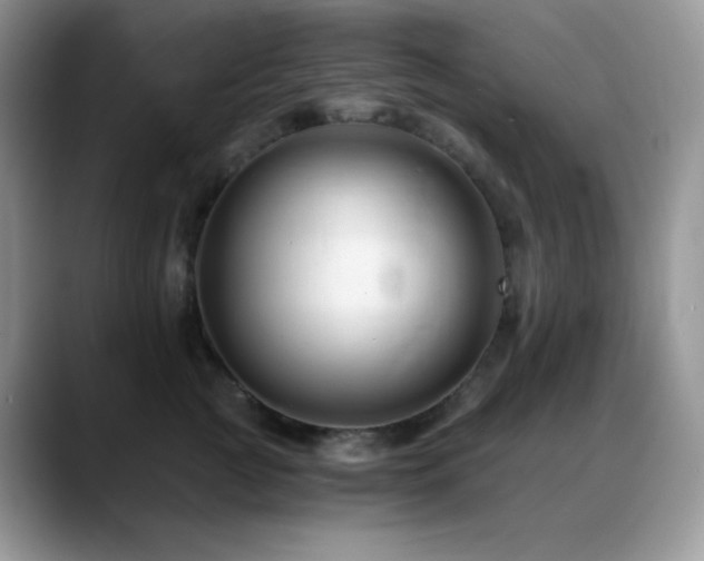 X0000088910761200706081341