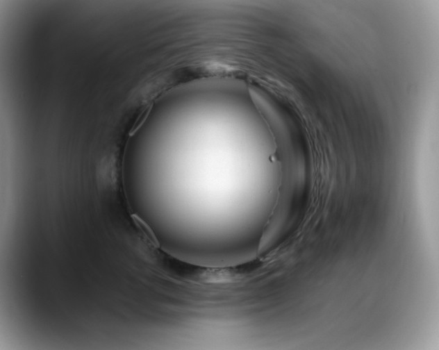 X0000088910762200706081341