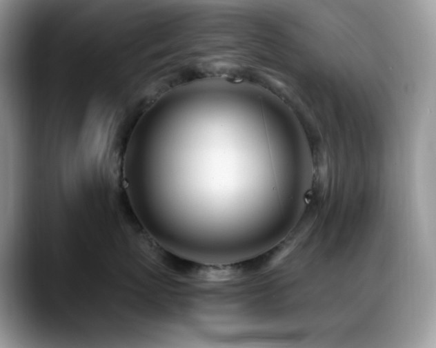 X0000088910767200706081341