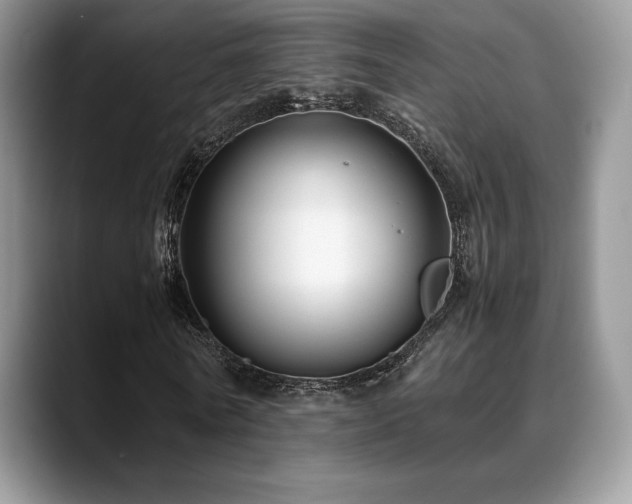 X0000088910770200706081341