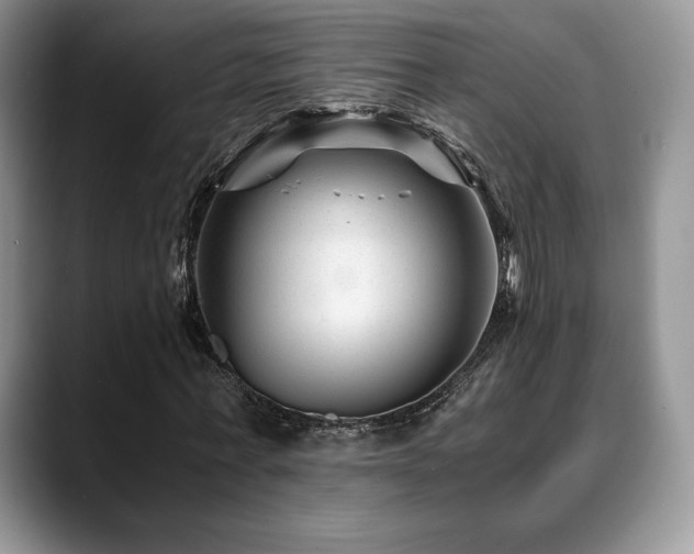 X0000088910771200706081341