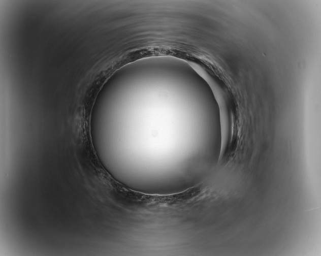 X0000088910773200706081341