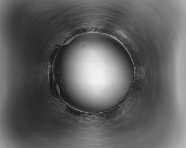 X0000088910774200706081341