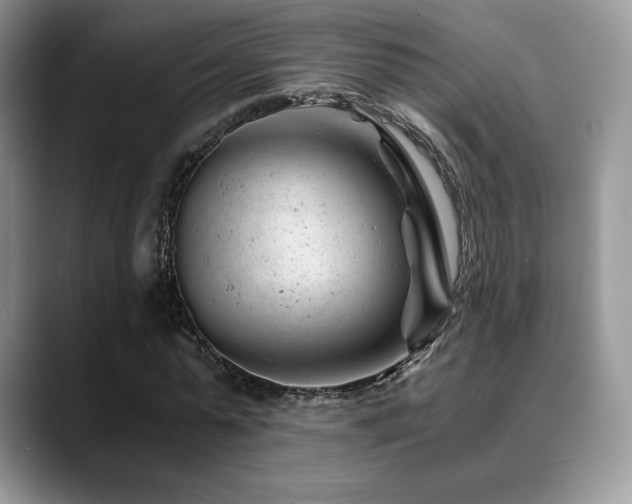 X0000088910775200706081341