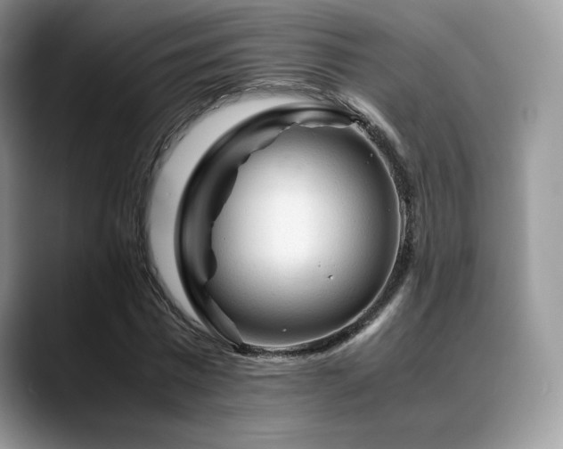 X0000088910777200706081341