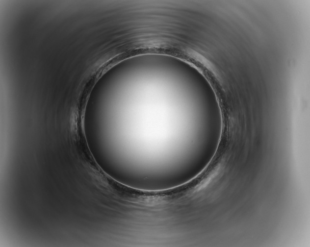 X0000088910778200706081341