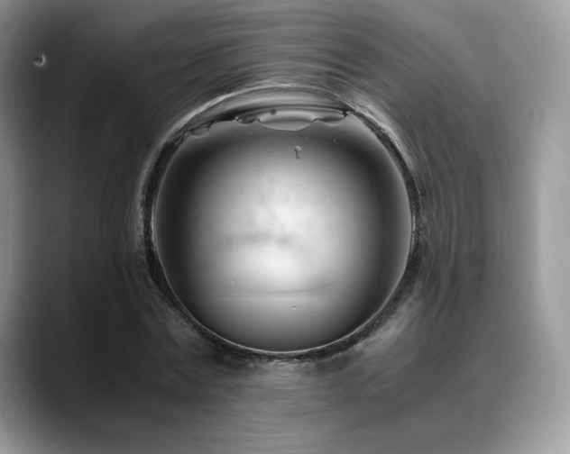 X0000088910779200706081341