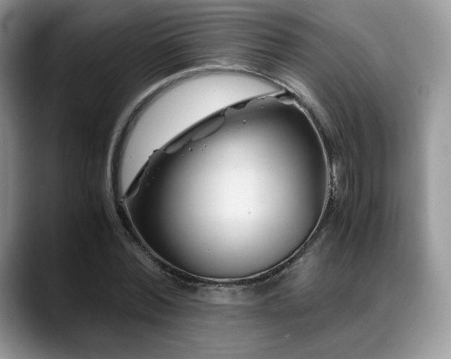 X0000088910780200706081341