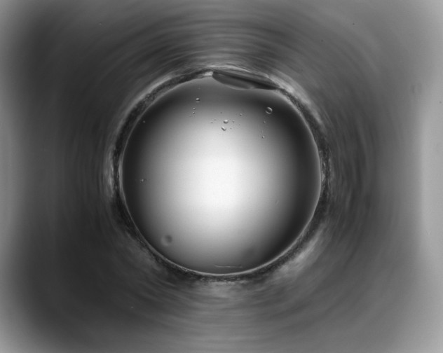 X0000088910782200706081340