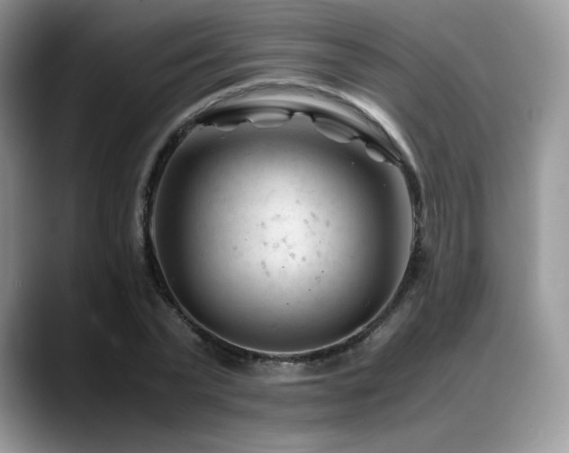 X0000088910783200706081340