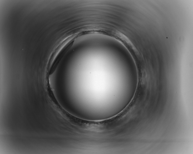 X0000088910786200706081340