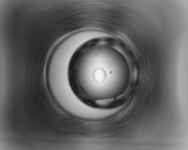 X0000088910788200706081340