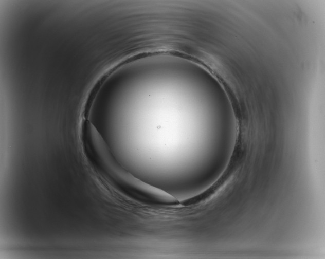 X0000088910789200706081340