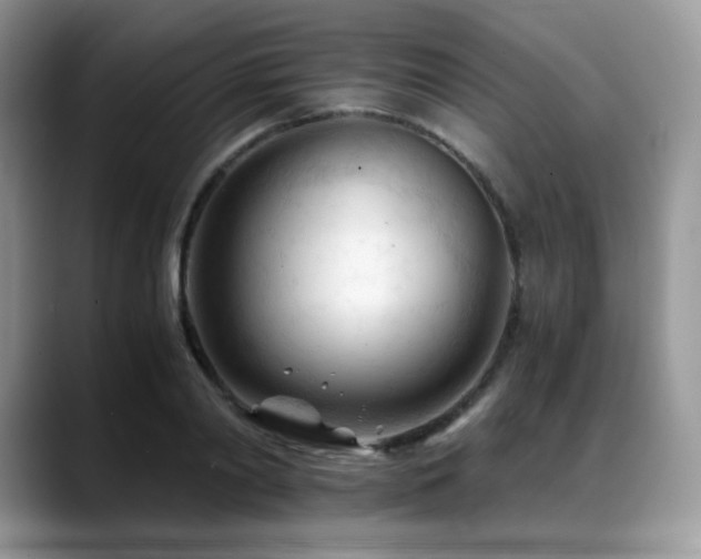 X0000088910790200706081340