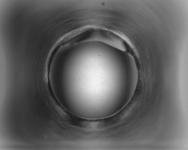 X0000088910791200706081340
