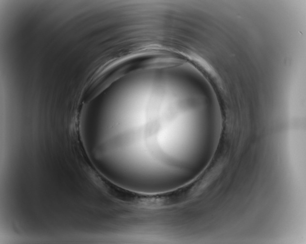 X0000088910793200706081340