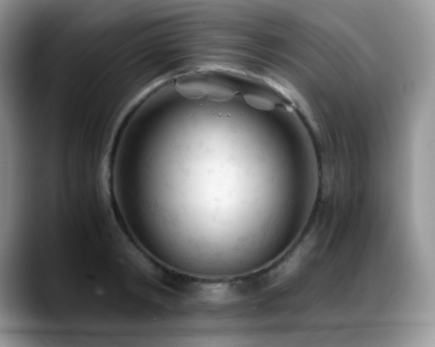 X0000088910798200706081340