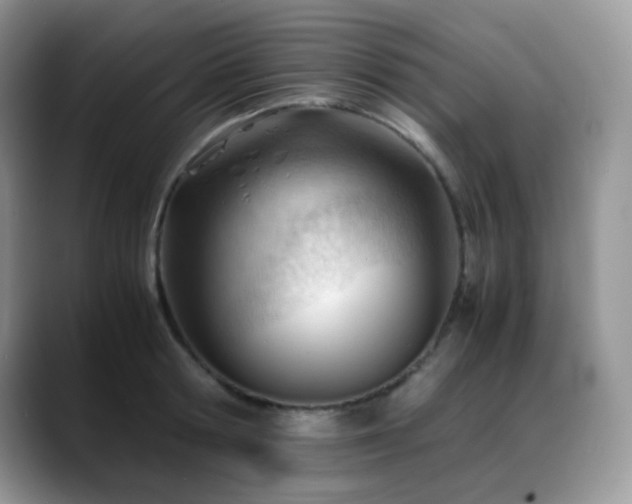 X0000088910802200706081340