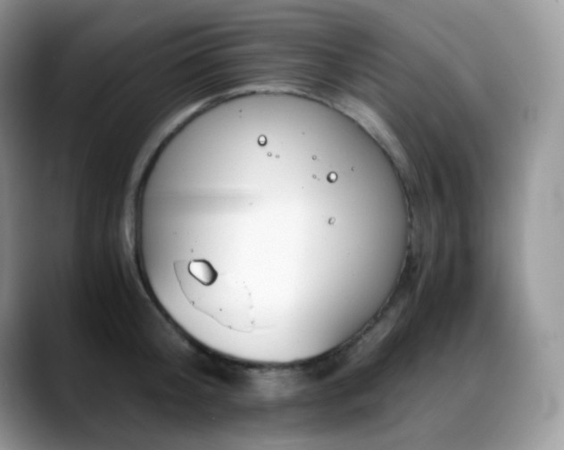 X0000088910804200706081340