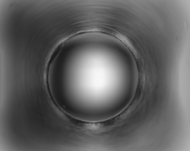 X0000088910805200706081340