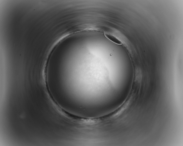 X0000088910806200706081340