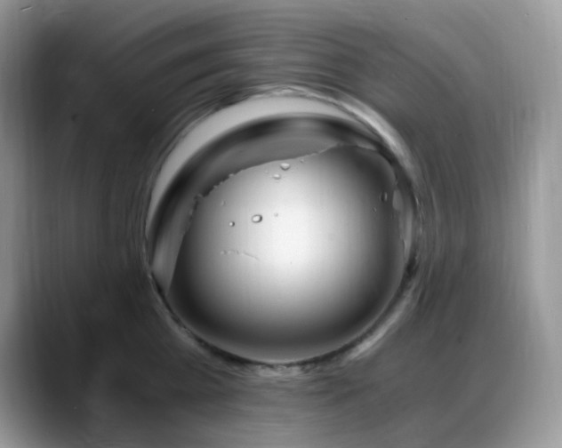 X0000088910809200706081340