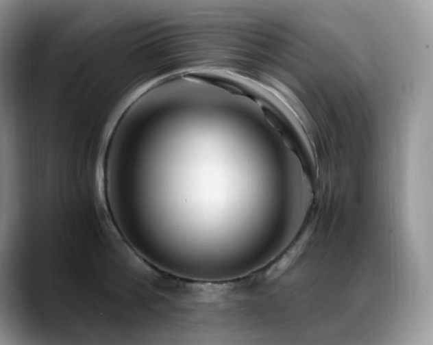 X0000088910812200706081340