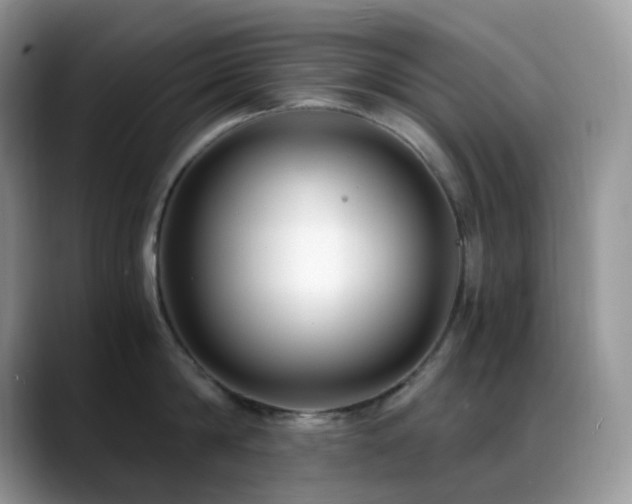 X0000088910814200706081340