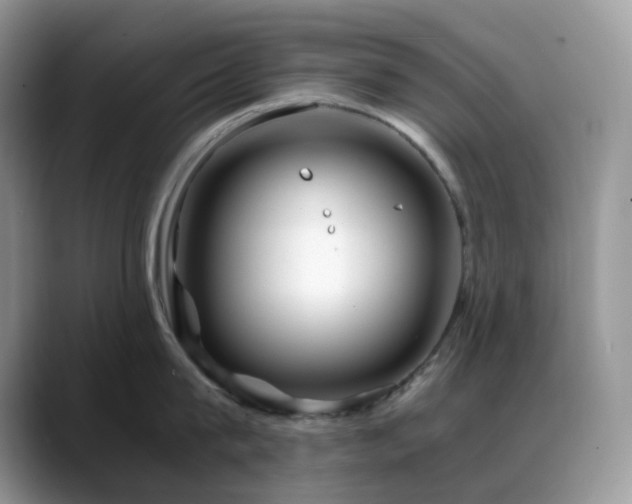 X0000088910815200706081340