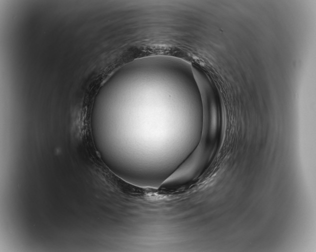 X0000088910818200706081340