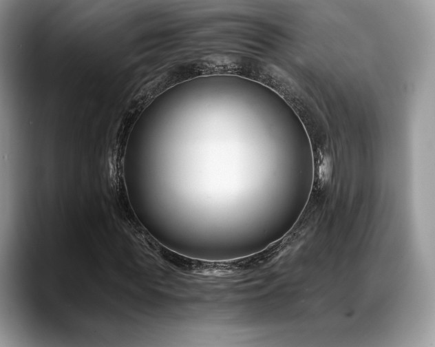 X0000088910819200706081340